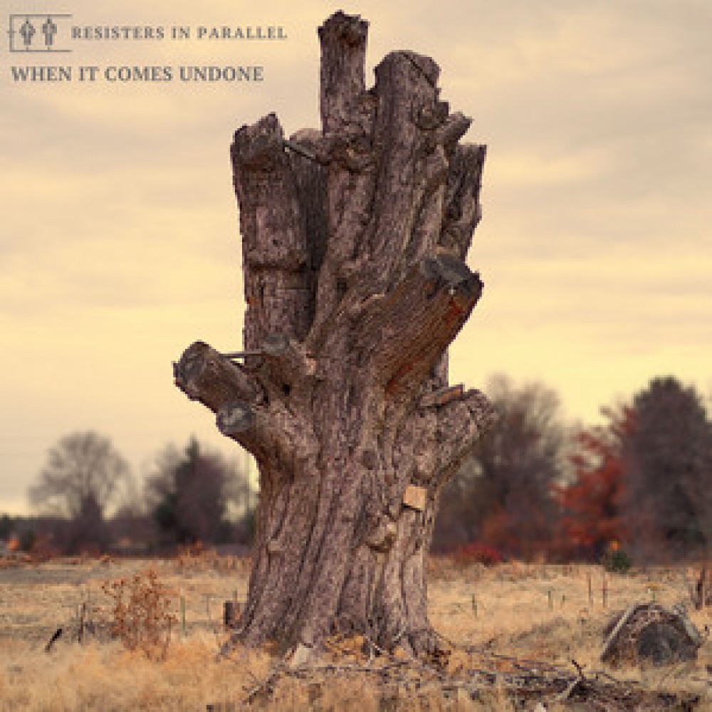 Resisters in Parallel