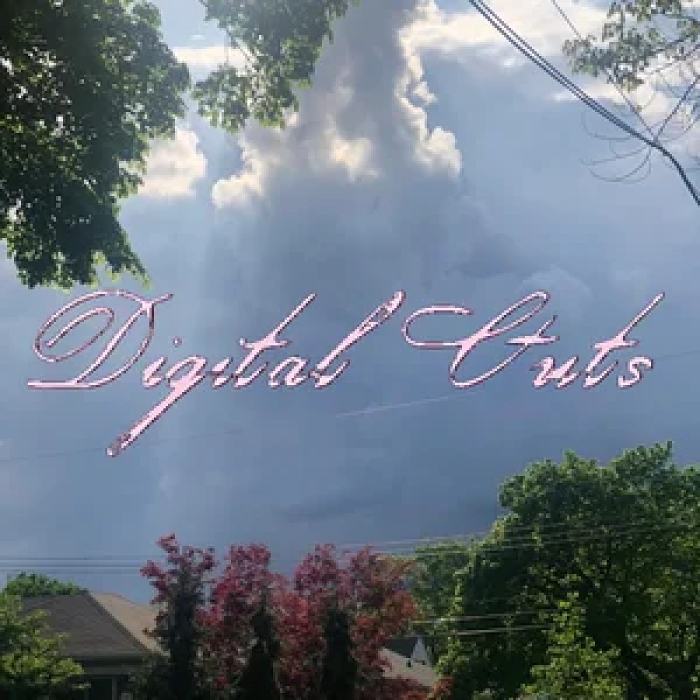 Digital Guts