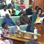 Ugandan parliament rejects Alcoholic Drinks Control Bill