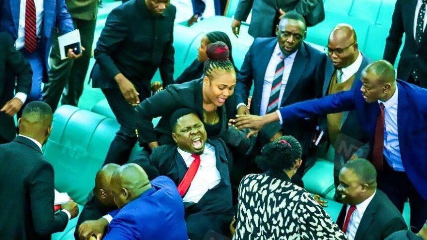 Parliamentary brawl MPs clash 12 suspended